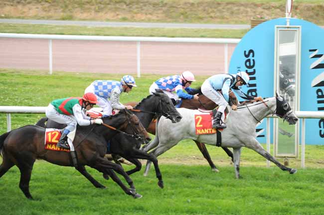 Arrivée quinté pmu GRAND PRIX SYNERGIE à NANTES