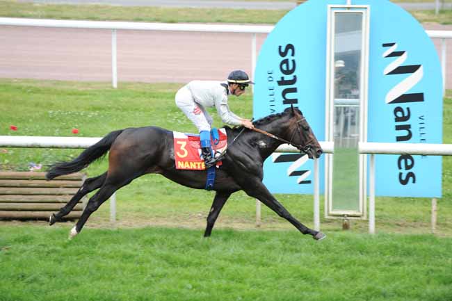Arrivée quinté pmu PRIX LE PETIT MOUZILLON (PRIX DE THOUARE) à NANTES
