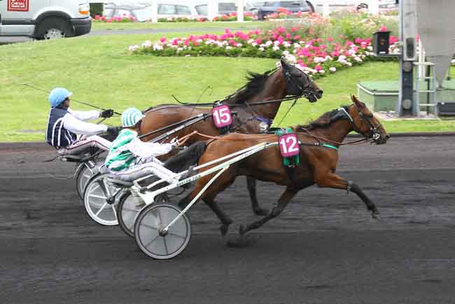 Arrivée quinté pmu PRIX ECOLE DU BREUIL (PRIX ALBERT VIEL) à PARIS-VINCENNES