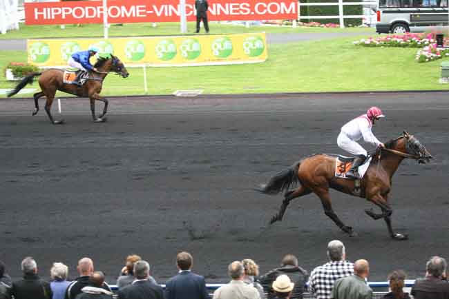 Arrivée quinté pmu PRIX TROT INFOS (XAVIER DE SAINT PALAIS) à PARIS-VINCENNES