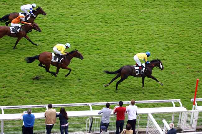 Arrivée quinté pmu PRIX BURGRAVE II à AUTEUIL