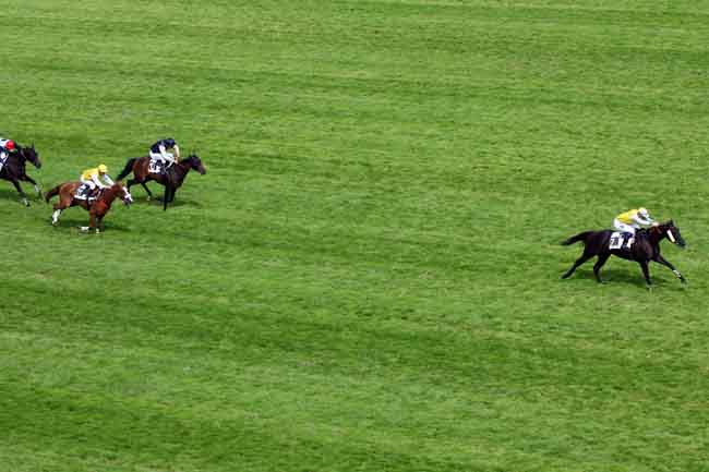 Arrivée quinté pmu PRIX COLOMBELLES à AUTEUIL