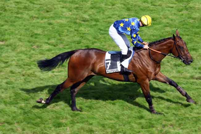 Arrivée quinté pmu PRIX PHARAON à AUTEUIL