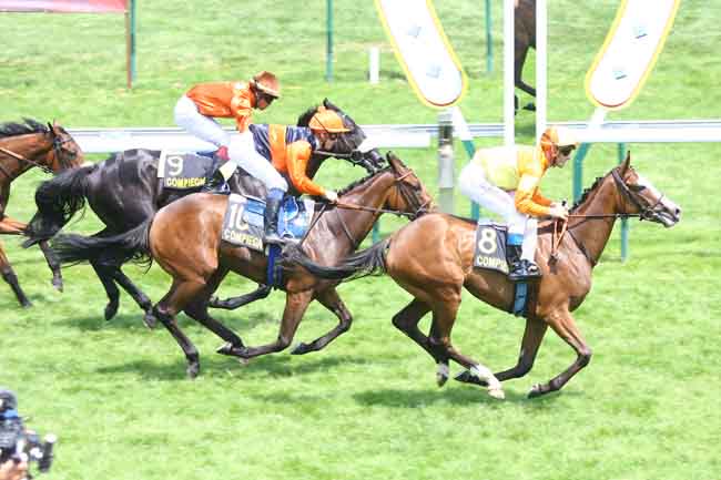Arrivée quinté pmu PRIX PARASPORT DE COMPIEGNE (PRIX DE L'AILETTE) à COMPIEGNE