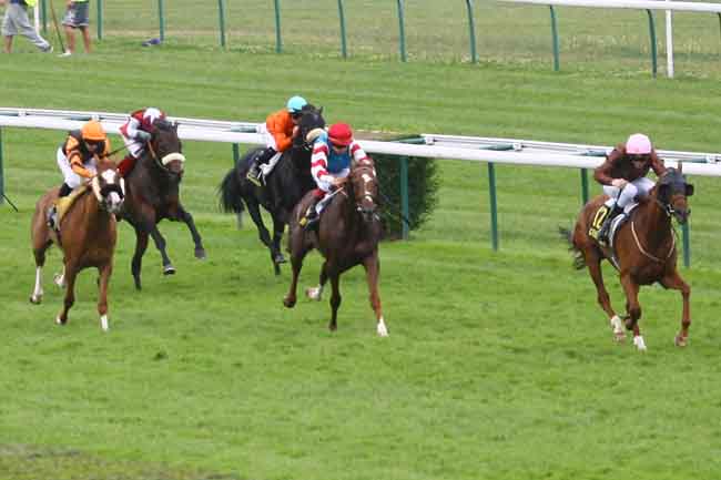 Arrivée quinté pmu PRIX D'ARRAS à COMPIEGNE
