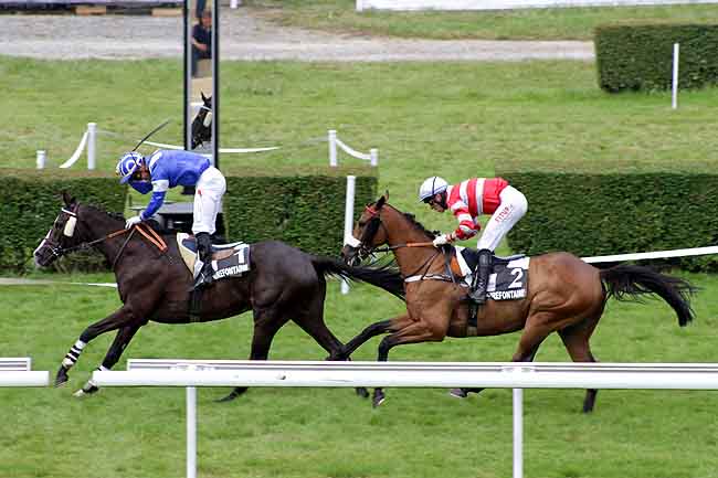 Arrivée quinté pmu PRIX LE FAVORI (PRIX DE PENNEDEPIE) à CLAIREFONTAINE