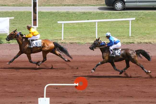 Arrivée quinté pmu PRIX DE SAINT-GALMIER (GR B) à VICHY
