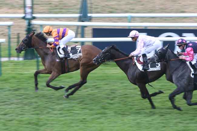Arrivée quinté pmu PRIX DE LA BUTTE RONDE à CHANTILLY