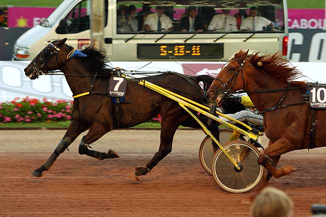 Arrivée quinté pmu PRIX PAUL VIEL à CABOURG