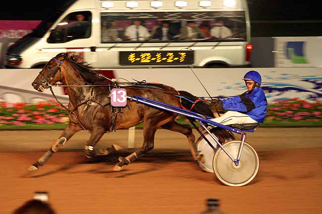 Arrivée quinté pmu PRIX DES ARUMS à CABOURG