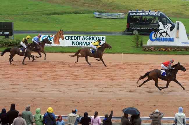 Arrivée quinté pmu PRIX BRUNO ROUPSART - TRAITEUR EQUEURDREVILLE à CHERBOURG