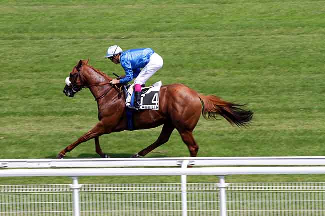 Arrivée quinté pmu PRIX DE SAINT-FIRMIN à DEAUVILLE