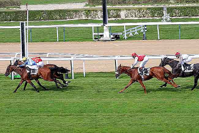 Arrivée quinté pmu PRIX DE CHAUMONTEL à DEAUVILLE