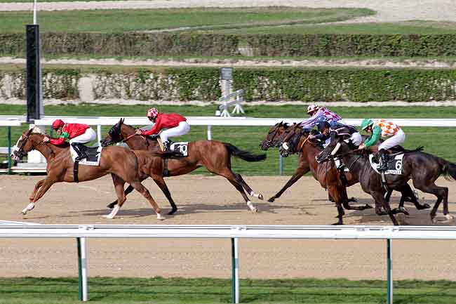 Arrivée quinté pmu PRIX DU NOYONNAIS à DEAUVILLE