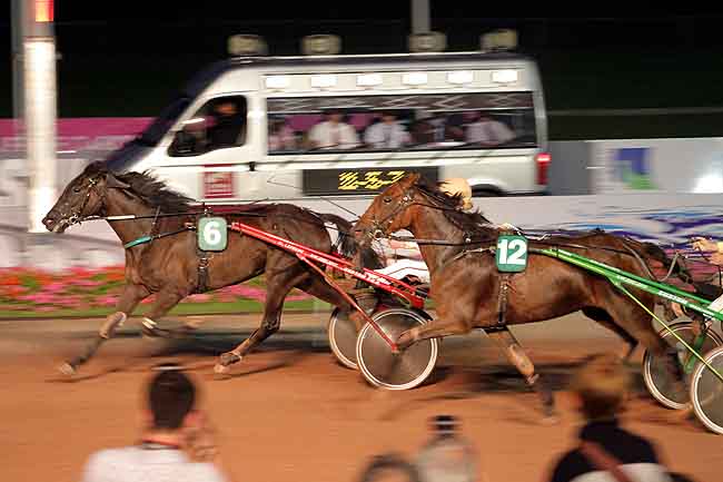 Arrivée quinté pmu PRIX DES CYTISES (GR A) à CABOURG