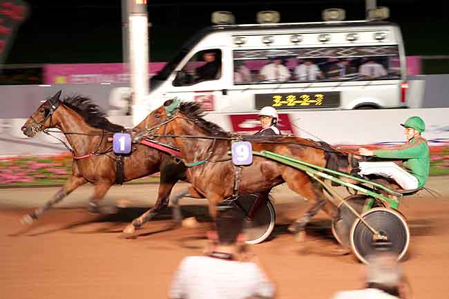 Arrivée quinté pmu PRIX DU MUGUET à CABOURG