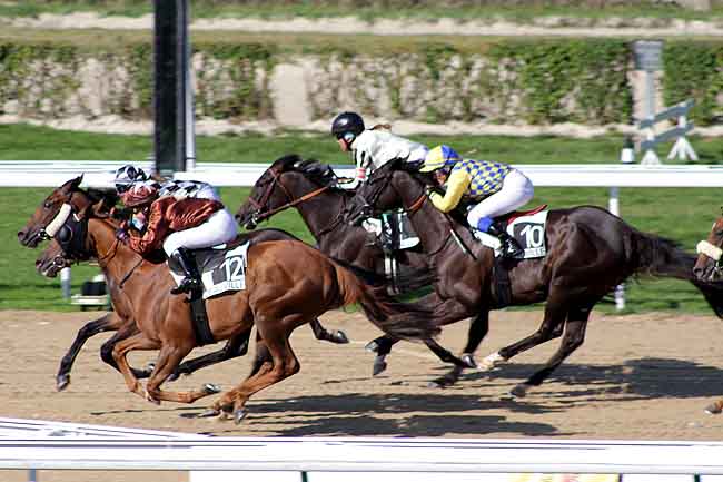 Arrivée quinté pmu PRIX ROYAL BARRIERE à DEAUVILLE