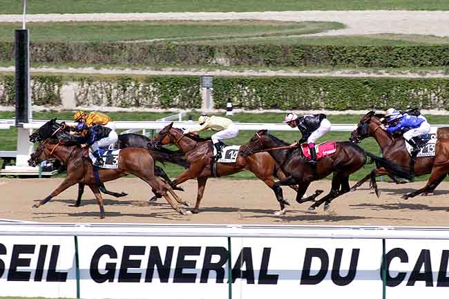 Arrivée quinté pmu PRIX DES COLLECTIVITES LOCALES à DEAUVILLE