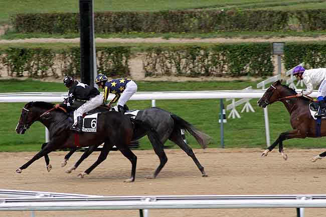 Arrivée quinté pmu PRIX DU PHARE à DEAUVILLE