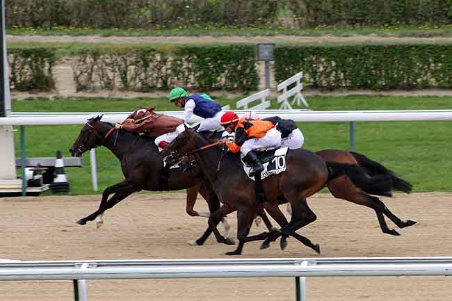 Arrivée quinté pmu PRIX DE LA HETRAIE - PRIX DU 1100EME ANNIVERSAIRE DE NORMANDIE à DEAUVILLE