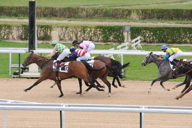 Arrivée quinté pmu PRIX DE VICTOT à DEAUVILLE