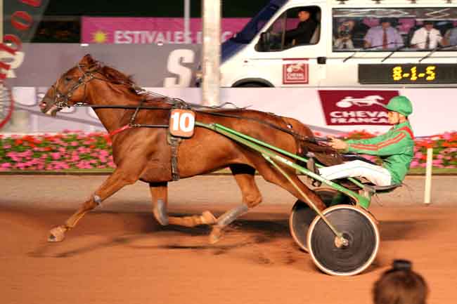Arrivée quinté pmu PRIX DES TOURNESOLS à CABOURG