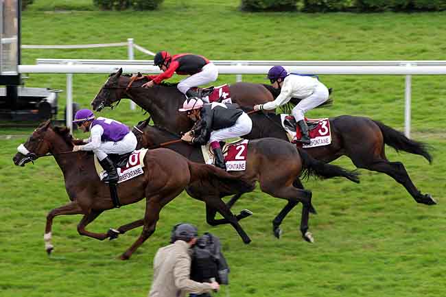Arrivée quinté pmu PRIX DES CHEVALIERS DU PONT L'EVEQUE (PRIX DES CAMELIAS) à CLAIREFONTAINE