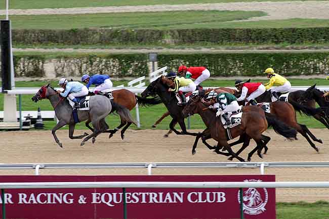 Arrivée quinté pmu PRIX DE LA HAQUETTERIE à DEAUVILLE