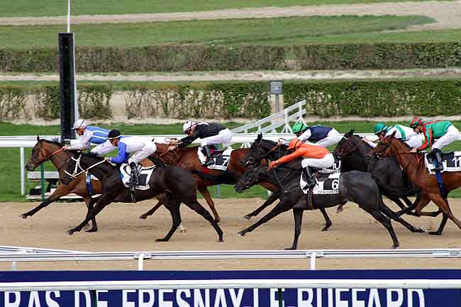 Arrivée quinté pmu PRIX DE LA MOTTE SASSY à DEAUVILLE