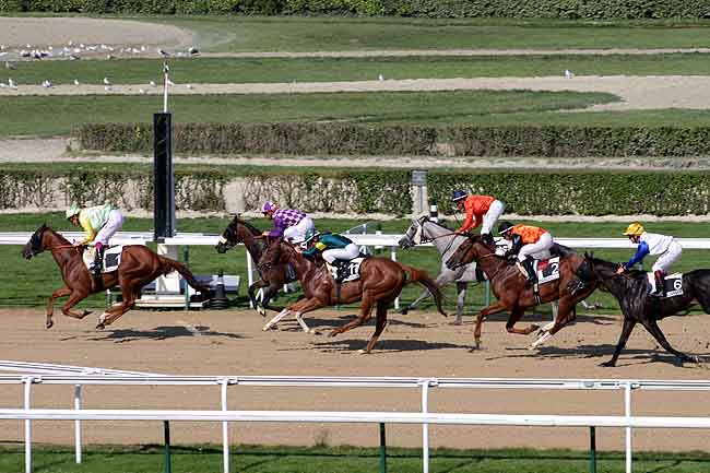 Arrivée quinté pmu PRIX DE BONNEBOSQ à DEAUVILLE