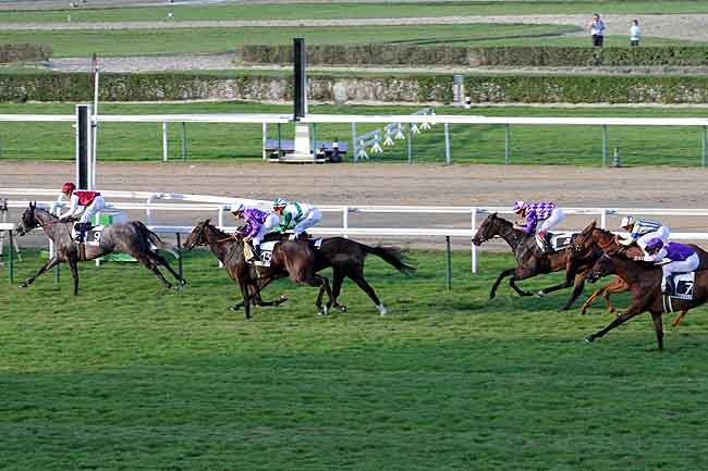Arrivée quinté pmu PRIX DE LA MUANCE à DEAUVILLE