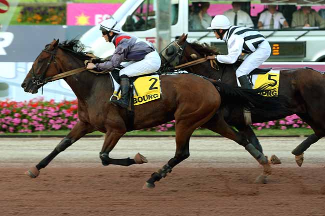Arrivée quinté pmu PRIX DES BOULEAUX à CABOURG