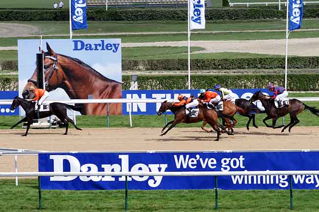 Arrivée quinté pmu PRIX DE LA CROIX D'HEULAND à DEAUVILLE