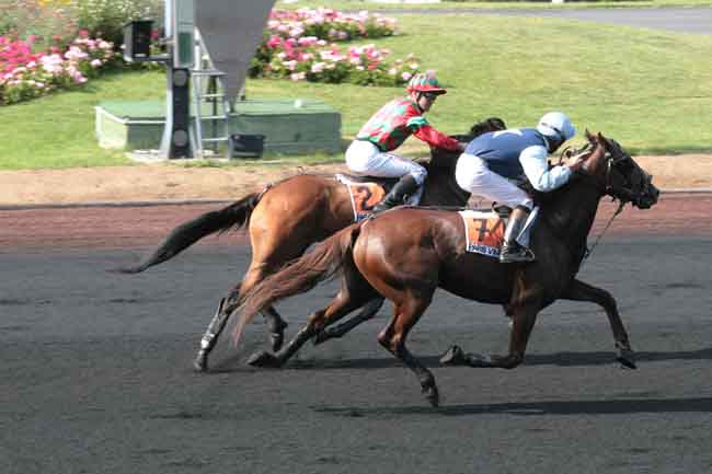 Arrivée quinté pmu PRIX KOZYR à PARIS-VINCENNES