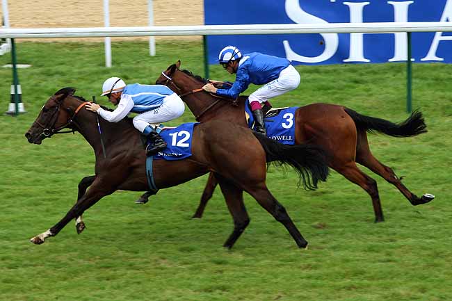 Arrivée quinté pmu PRIX ETALON NAYEF à DEAUVILLE