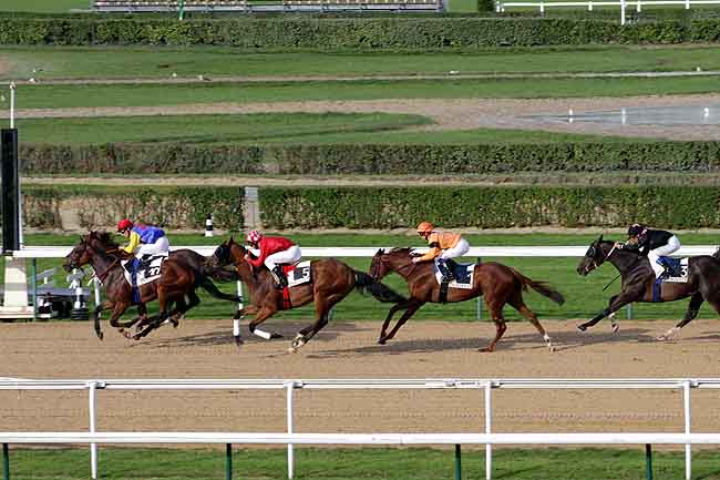 Arrivée quinté pmu PRIX DU MESNIL-OGER à DEAUVILLE