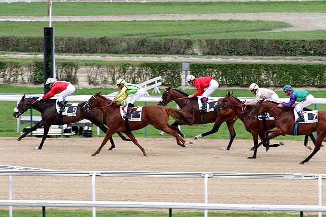 Arrivée quinté pmu PRIX DE L'HUISNE à DEAUVILLE