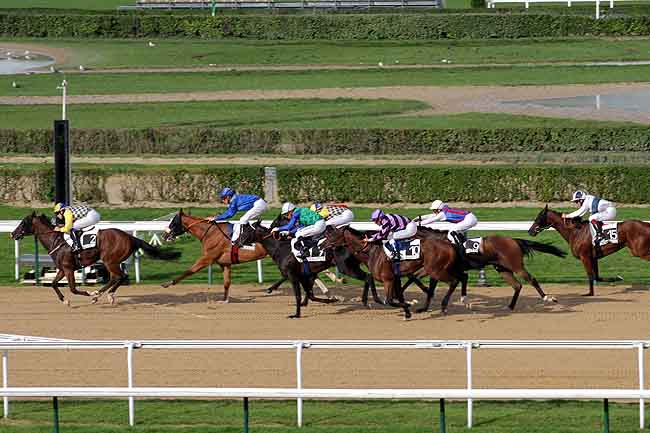Arrivée quinté pmu PRIX DU MESNIL-EUDES à DEAUVILLE