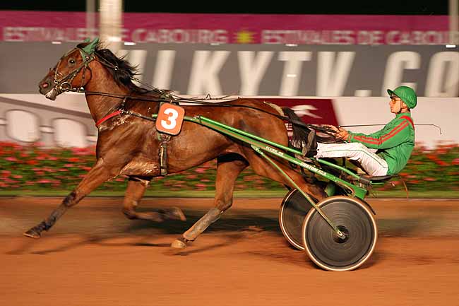 Arrivée quinté pmu PRIX DES FLAMBOYANTS à CABOURG