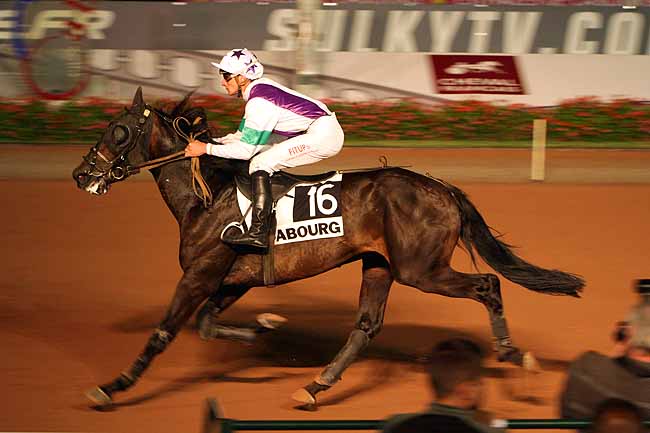 Arrivée quinté pmu PRIX DES OISEAUX DU PARADIS à CABOURG