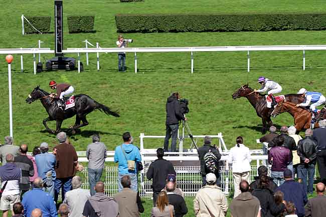 Arrivée quinté pmu PRIX DOMAINE DE L'AMIRAUTE (PRIX DE LA VILLA STRASSBURGER) à CLAIREFONTAINE