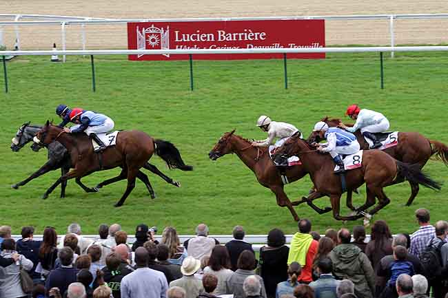 Arrivée quinté pmu PRIX QUINCEY LUCIEN BARRIERE à DEAUVILLE