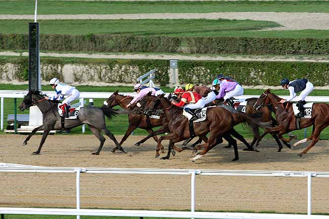 Arrivée quinté pmu PRIX D'AFINEBAULT à DEAUVILLE