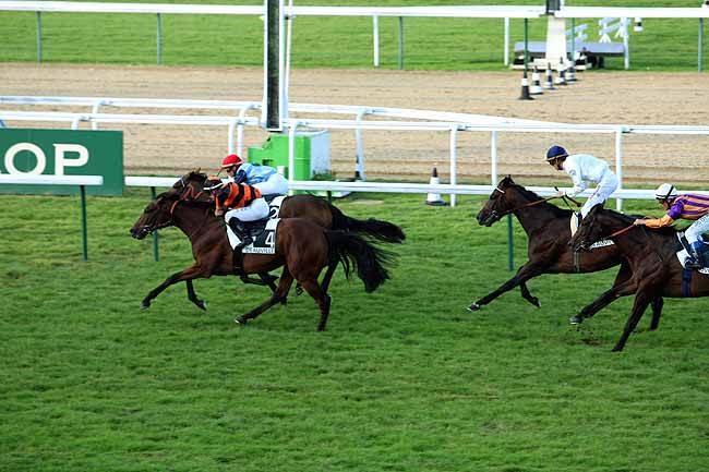 Arrivée quinté pmu PRIX DE SAON à DEAUVILLE
