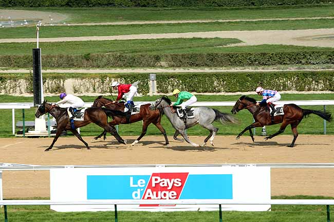 Arrivée quinté pmu PRIX DE SAINT-LEONARD DES PARCS à DEAUVILLE