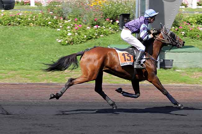 Arrivée quinté pmu PRIX DE SEGRE à PARIS-VINCENNES