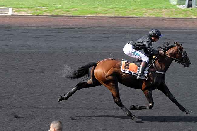 Arrivée quinté pmu PRIX DE DINARD à PARIS-VINCENNES