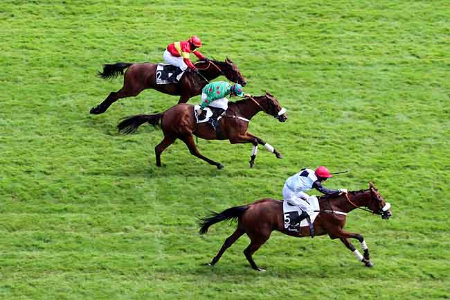 Arrivée quinté pmu PRIX DES PLATANES à AUTEUIL