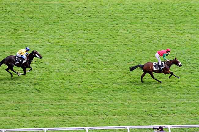 Arrivée quinté pmu PRIX BLAVIETTE à AUTEUIL