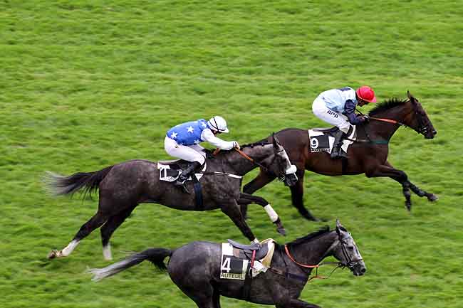 Arrivée quinté pmu PRIX GELAS à AUTEUIL